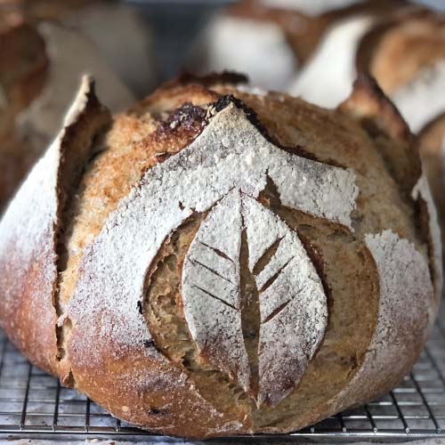 Classic Sourdough Style Breads