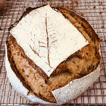 Load image into Gallery viewer, Dark Rye Sourdough Style Breads